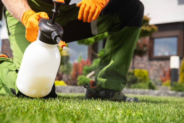 Best Rat Extermination Near Me  in Racend, LA