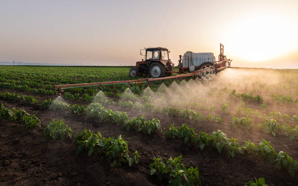 Best Pest Control Near Me in Raceland, LA