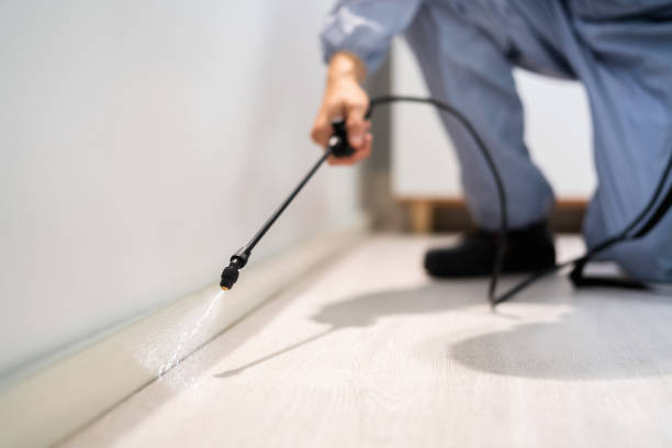 Pest Control for Restaurants in Raceland, LA
