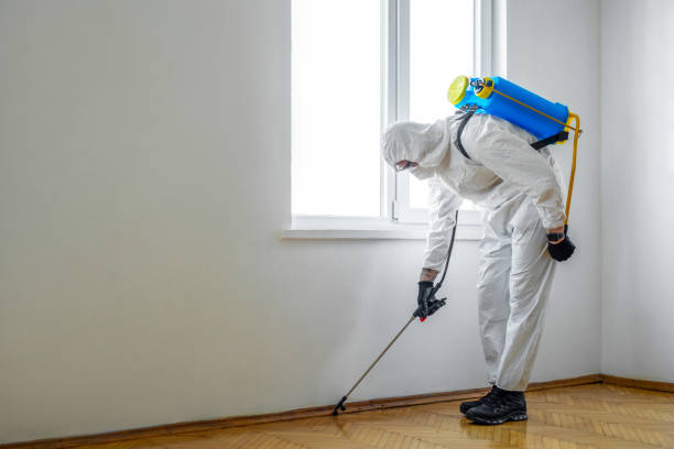 Best Bed Bug Extermination  in Racend, LA