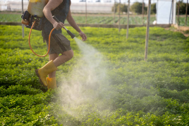 Best Residential Pest Control  in Racend, LA