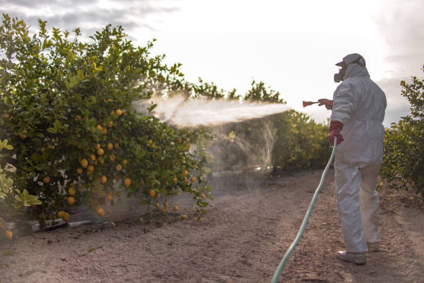  Racend, LA Pest Control Pros