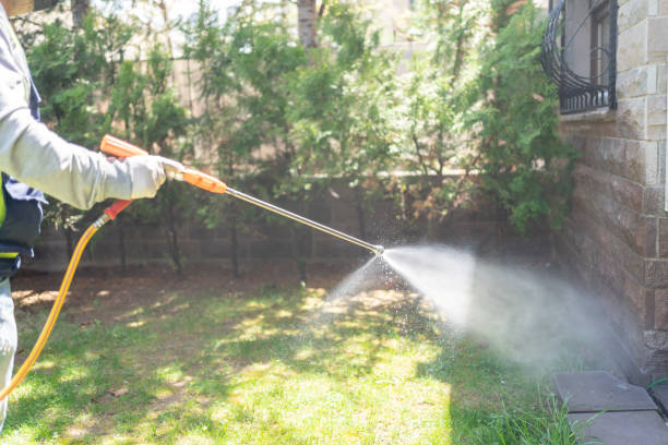 Best Exterminator Services  in Racend, LA