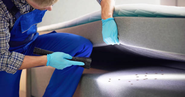 Best Pest Prevention Services  in Racend, LA