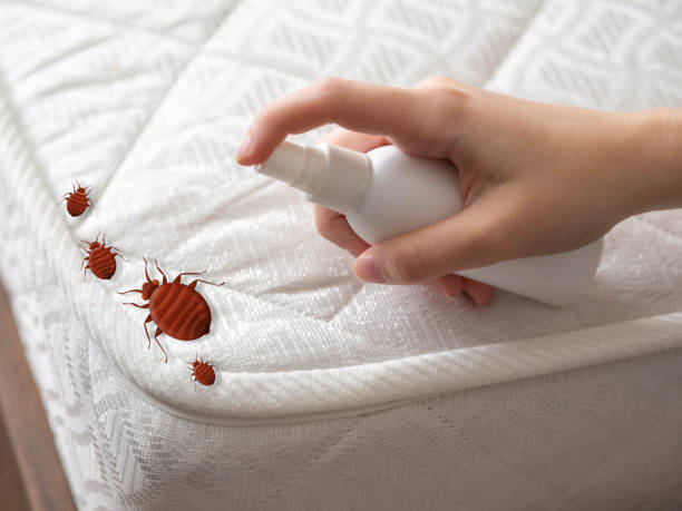 Best Affordable Pest Control Services  in Racend, LA