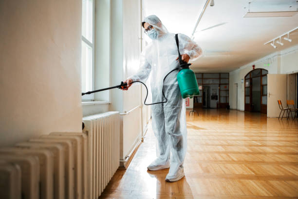 Best Mosquito Control Services  in Racend, LA