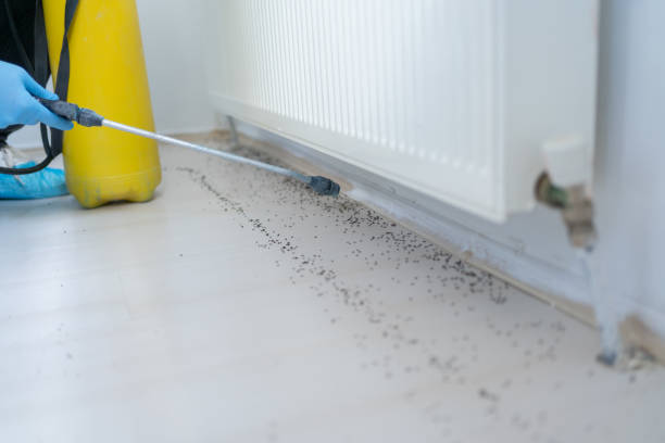 Trusted Raceland, LA Pest Control Experts