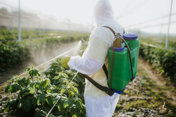 Best Pest Control Near Me in Raceland, LA